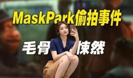 maskpark事件,科技巨头隐私争议背后的真相